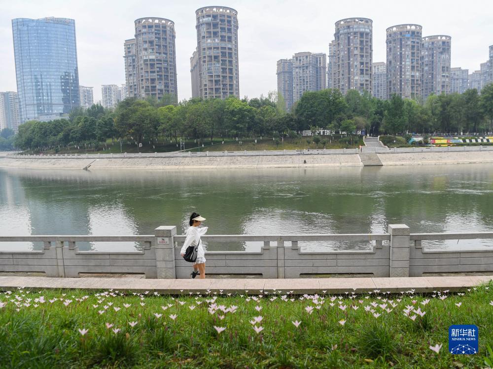 送白菜送彩金无需申请